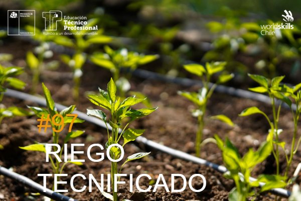 Course Image #97 RIEGO TECNIFICADO
